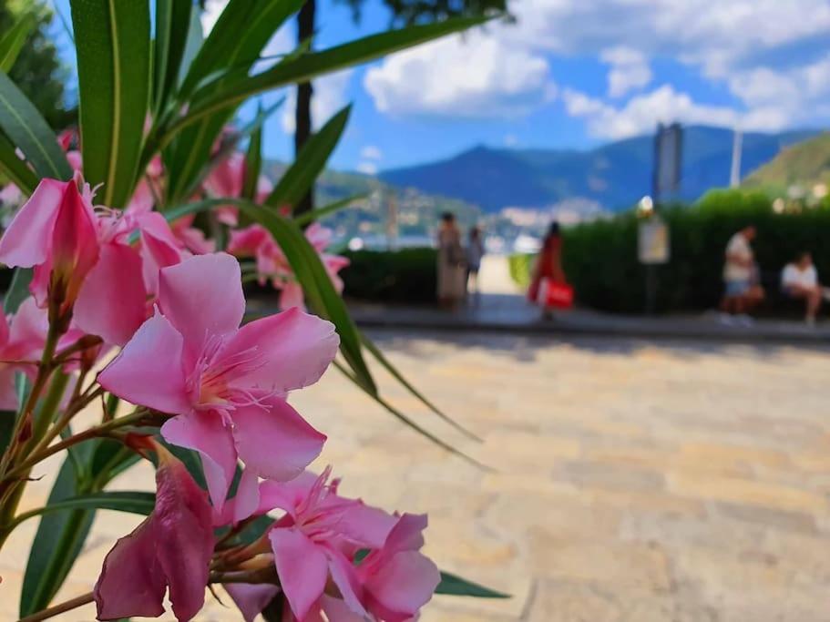 Plaza Deluxe Modern Center House - View Como Lake - Top Privacy Экстерьер фото
